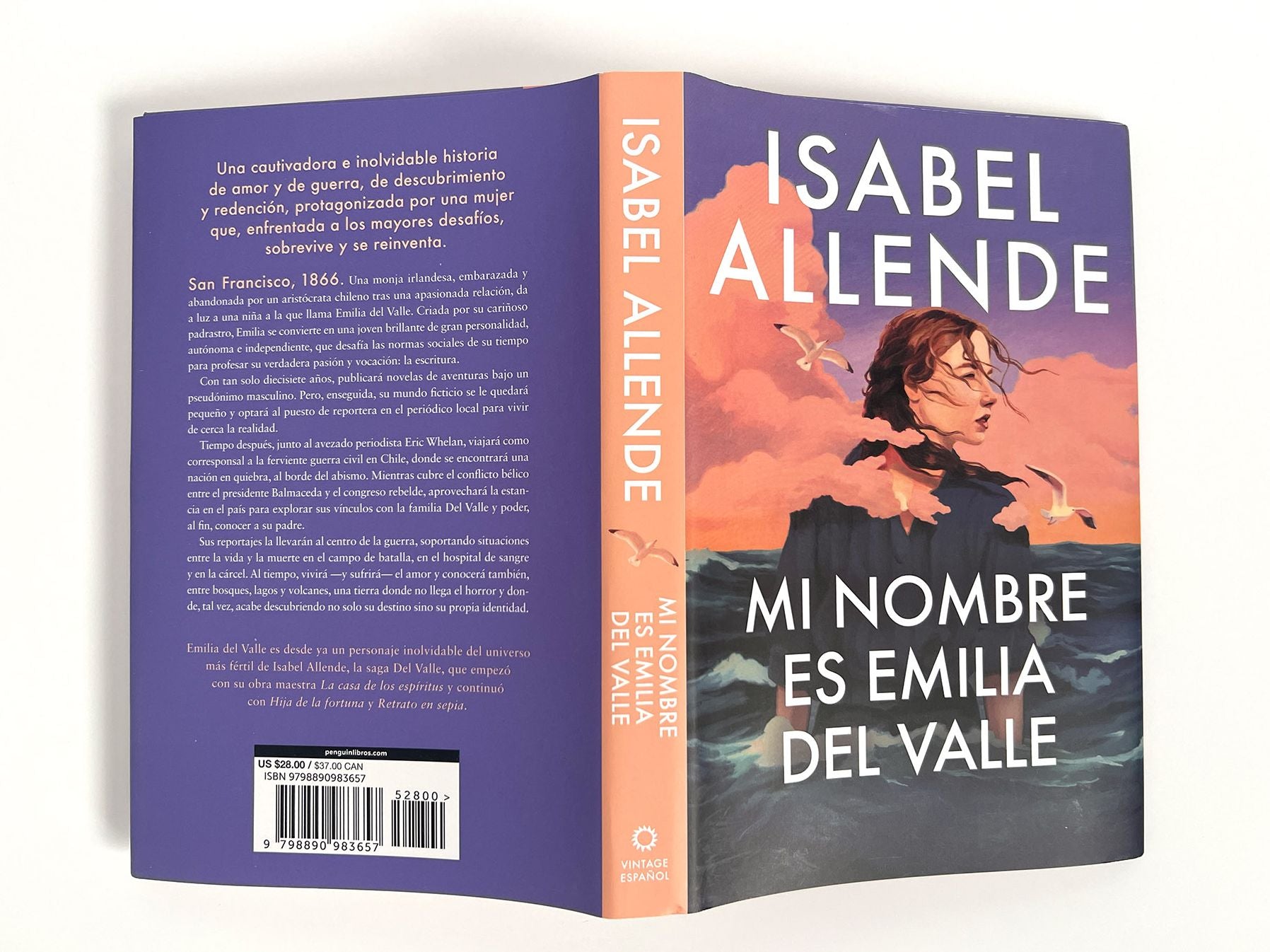 Mi nombre es Emilia del Valle / My Name Is Emilia del Valle