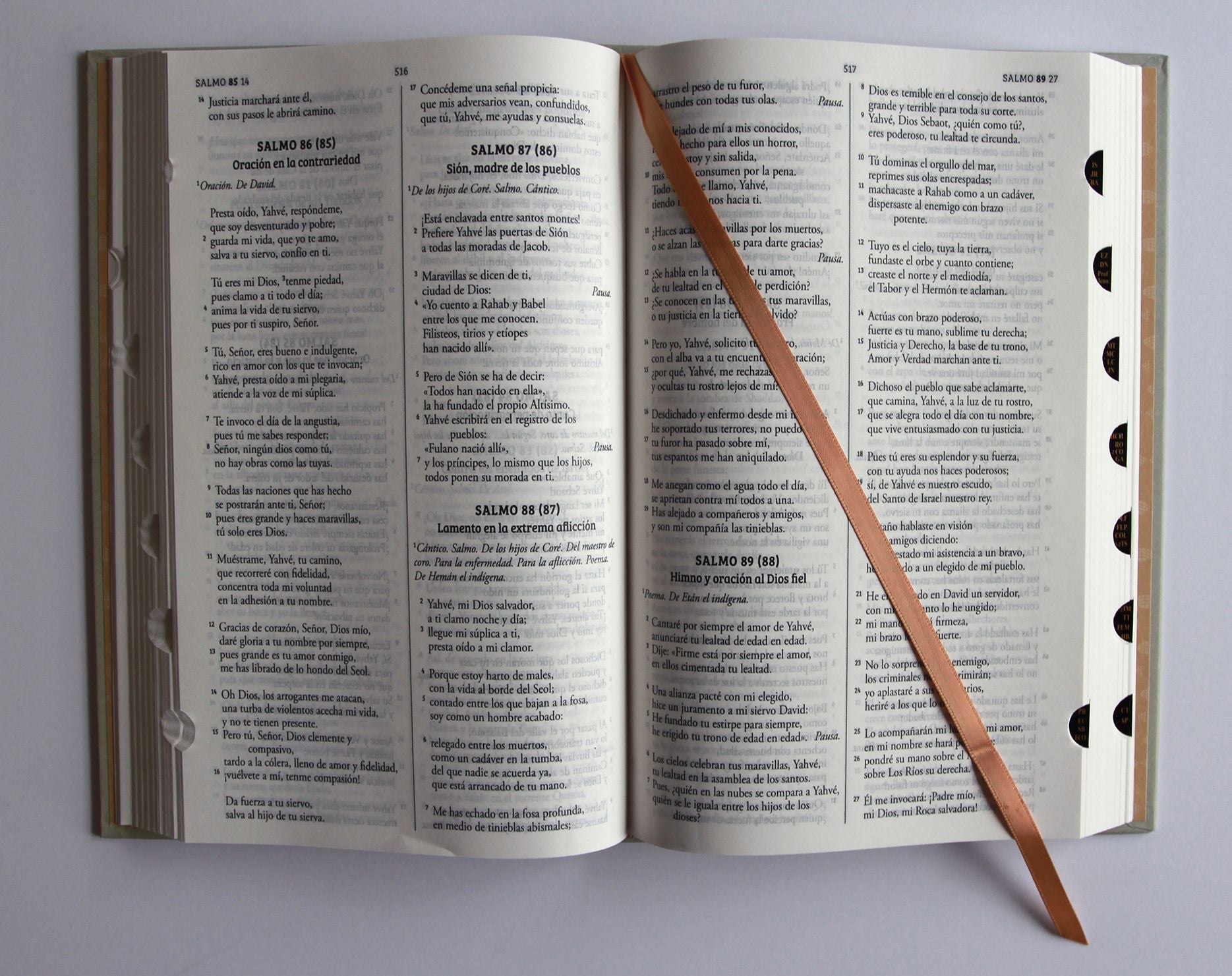 Biblia Católica Biblia de Jerusalén Latinoamericana, tapa dura edición clásica marrón arena con índice / Jerusalem Bible - Latin American Edition HC Sand