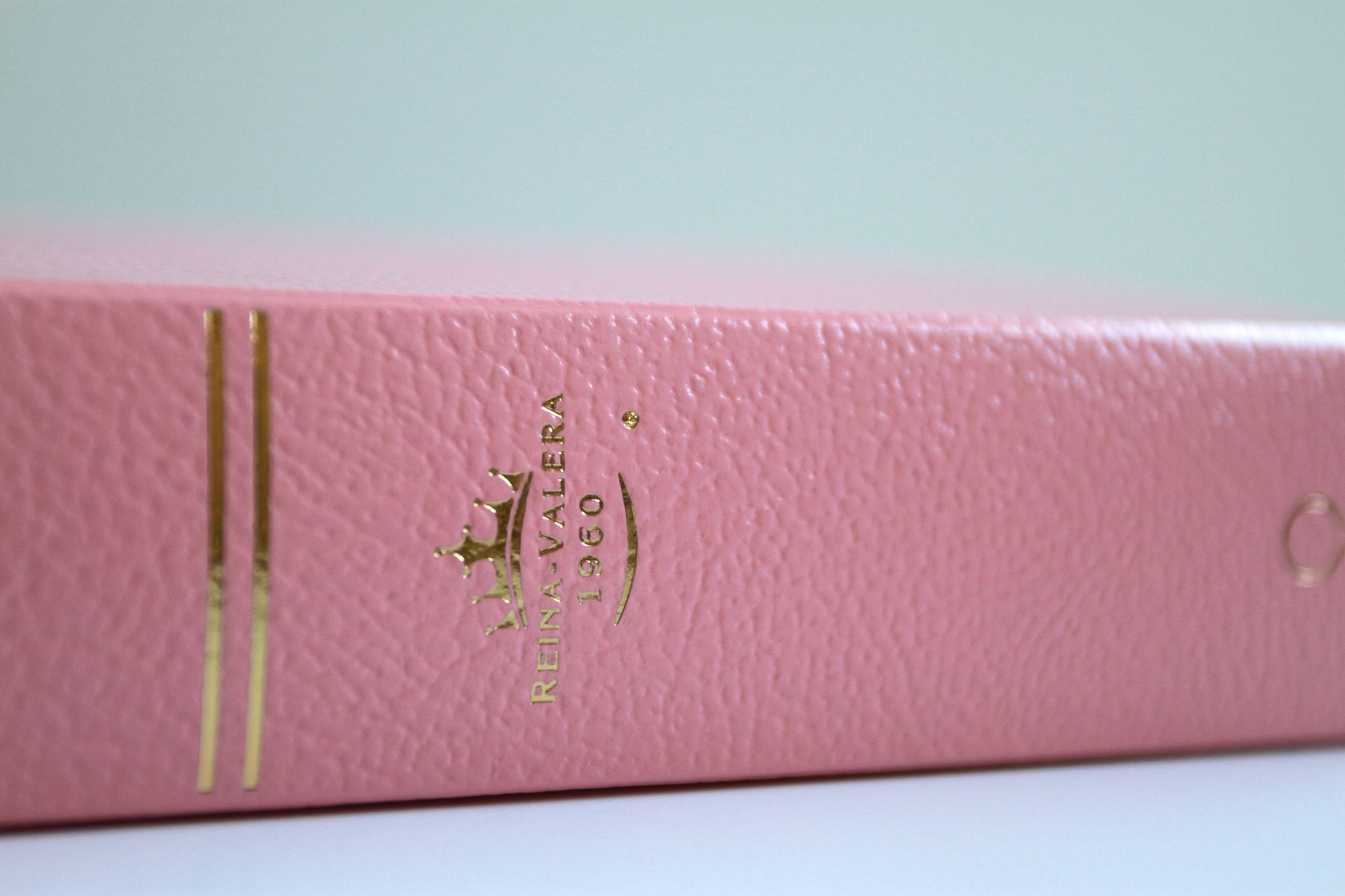 Biblia RVR 1960 para regalos y premios, rosada / Spanish Bible RVR 1960 Gift and Award Bible Pink