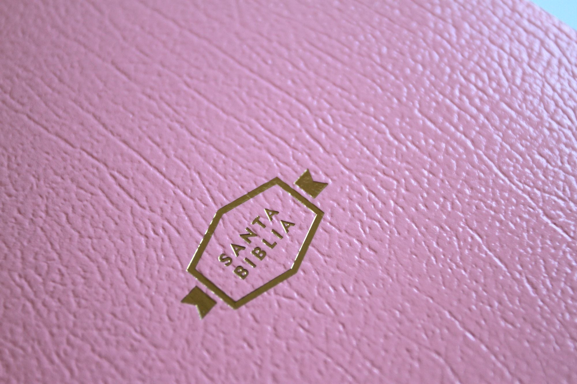 Biblia RVR 1960 para regalos y premios, rosada / Spanish Bible RVR 1960 Gift and Award Bible Pink
