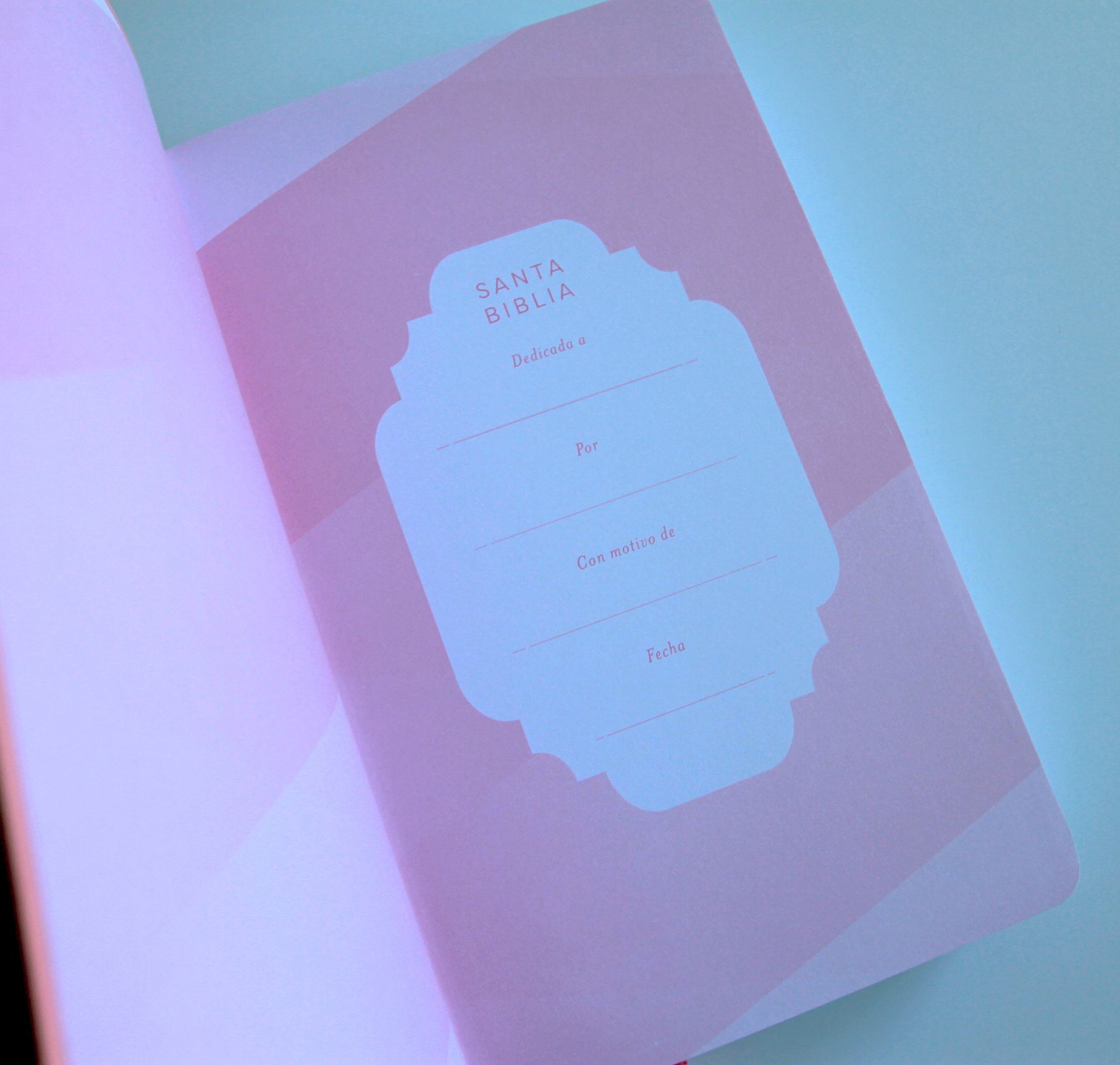 Biblia RVR 1960 para regalos y premios, rosada / Spanish Bible RVR 1960 Gift and Award Bible Pink