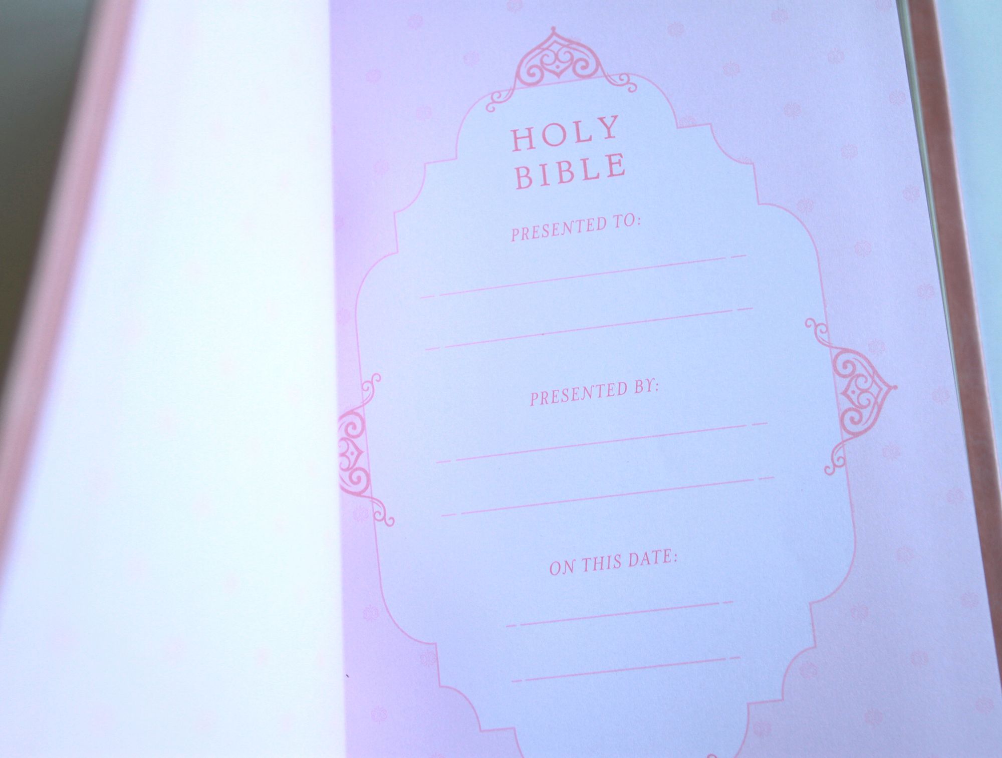 KJV Holy Bible, Large Print Handy Size Format, Pink Premium Imitation Leather with Ribbon Marker, Red Letter, Thumb Index