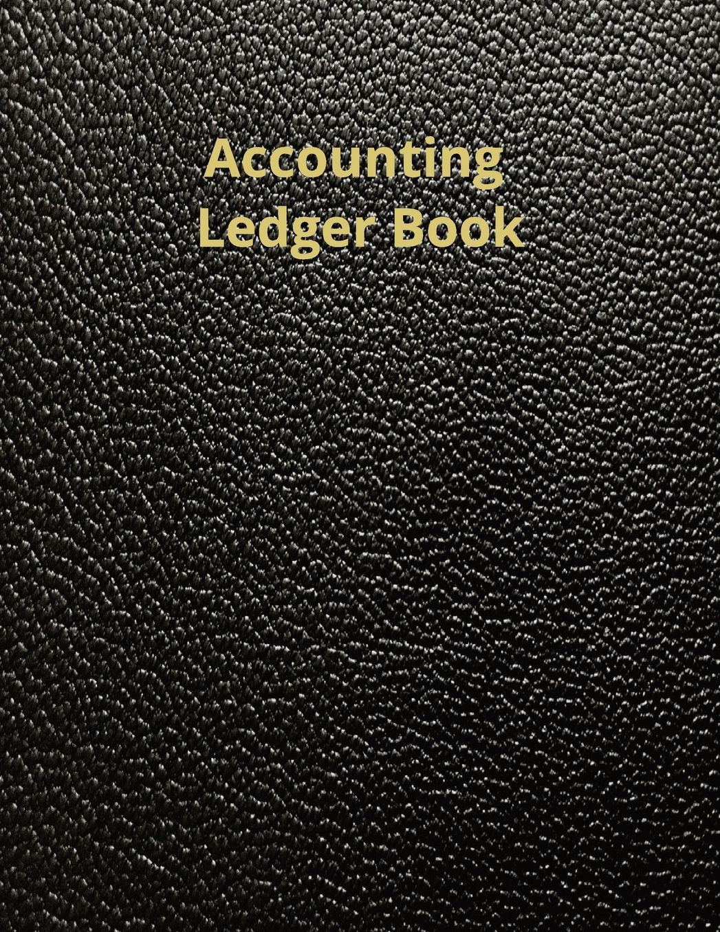 Accounting Ledger - Black