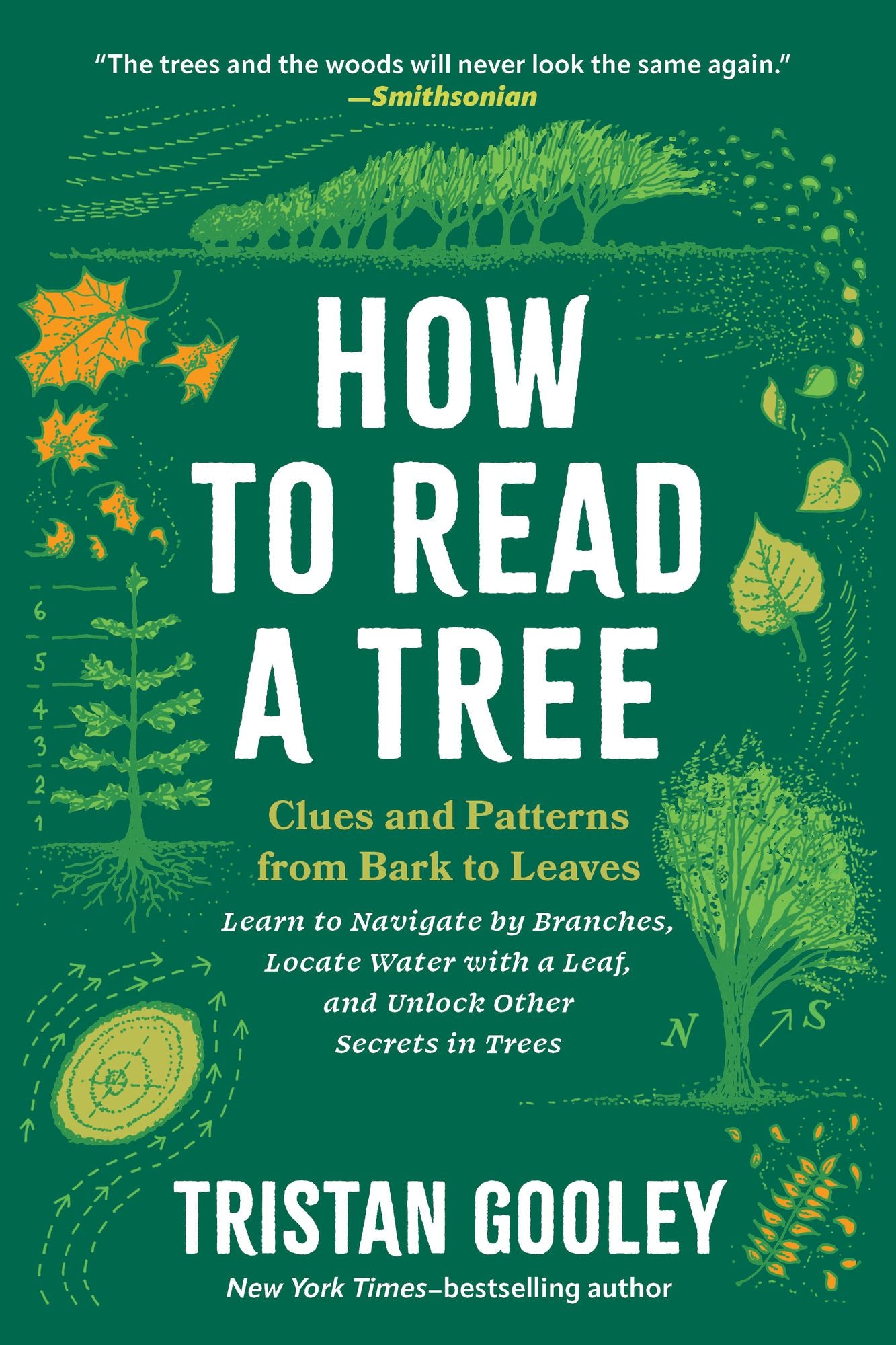 How to Read a Tree: Clues and Patterns from Bark to Leaves