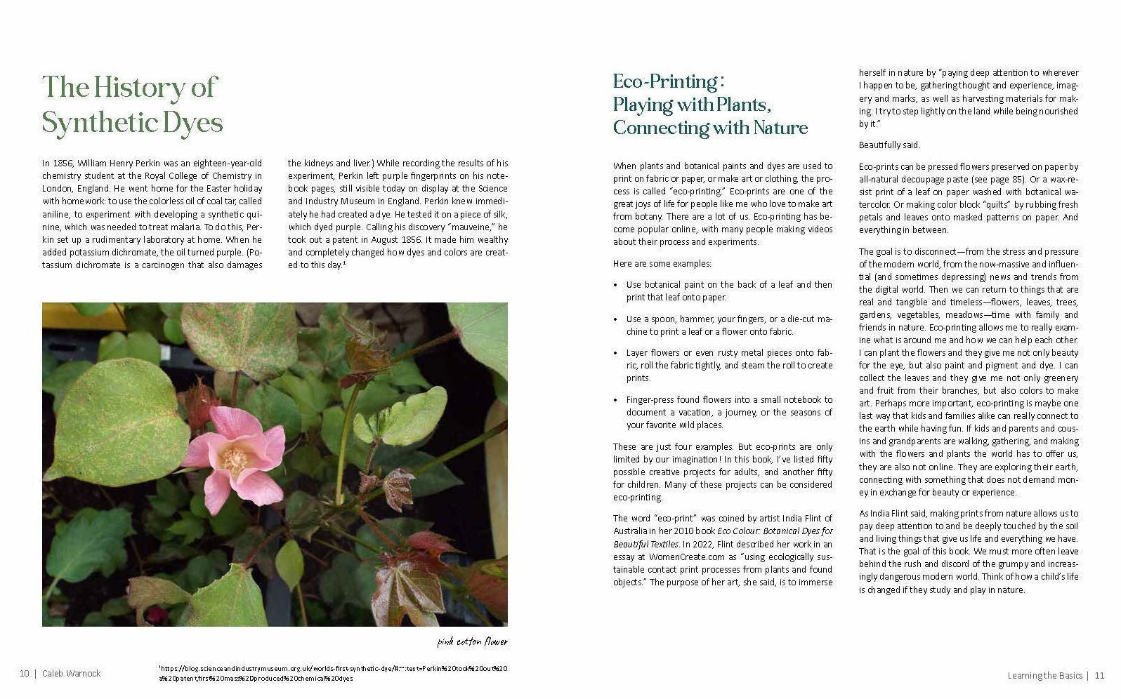 1000 Botanical Colors: Make Your Own Dyes, Paints, Inks, Stains, and Pottery Paints from 250 Plants