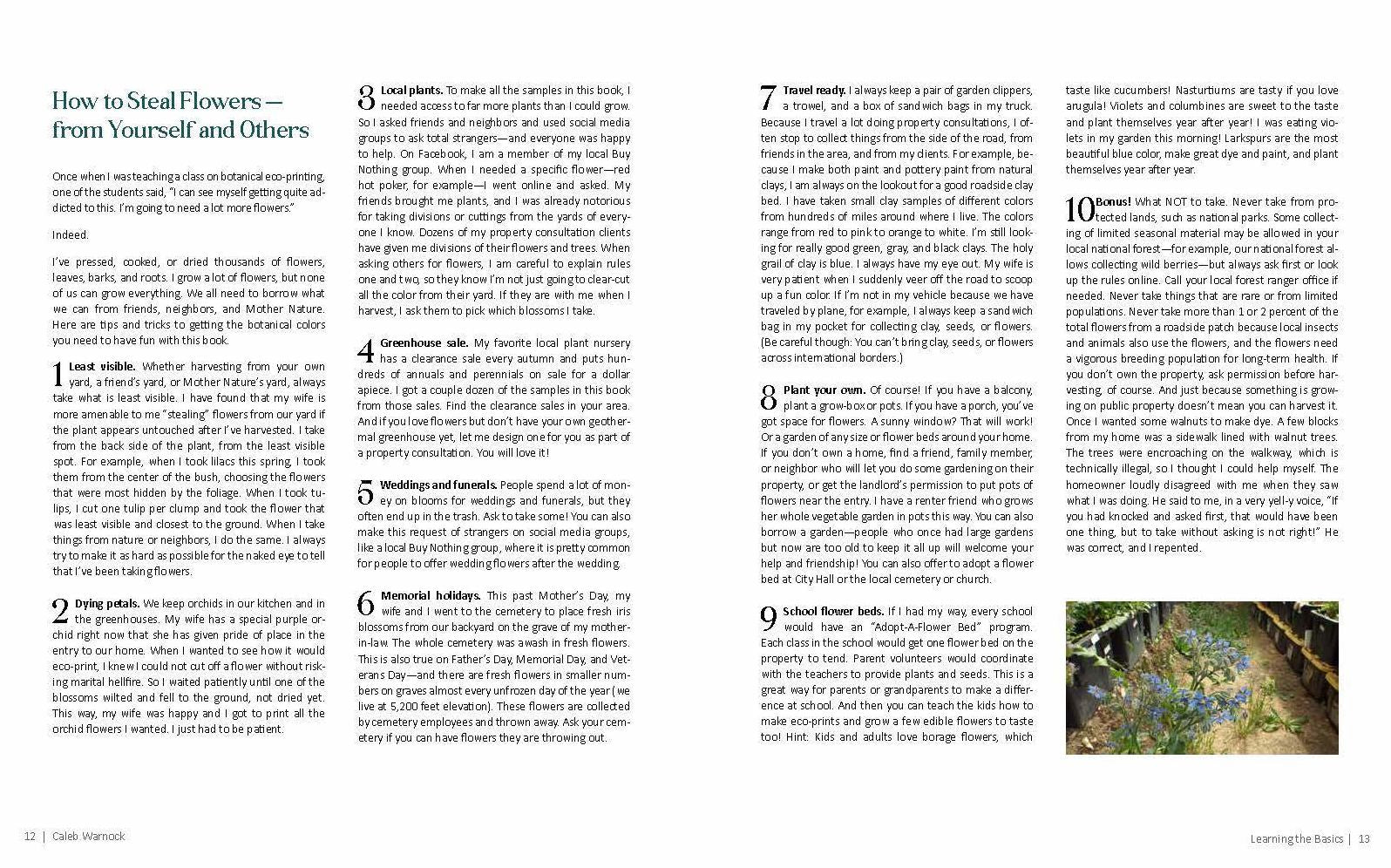 1000 Botanical Colors: Make Your Own Dyes, Paints, Inks, Stains, and Pottery Paints from 250 Plants