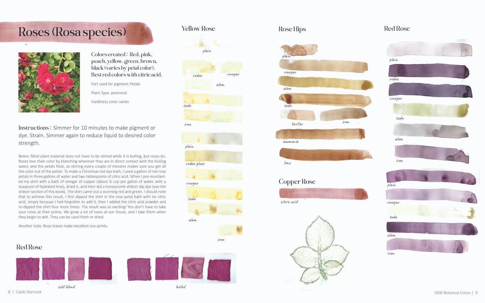 1000 Botanical Colors: Make Your Own Dyes, Paints, Inks, Stains, and Pottery Paints from 250 Plants