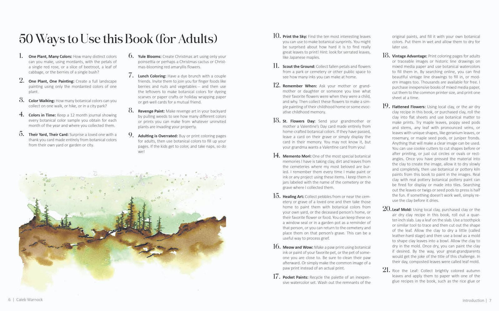 1000 Botanical Colors: Make Your Own Dyes, Paints, Inks, Stains, and Pottery Paints from 250 Plants