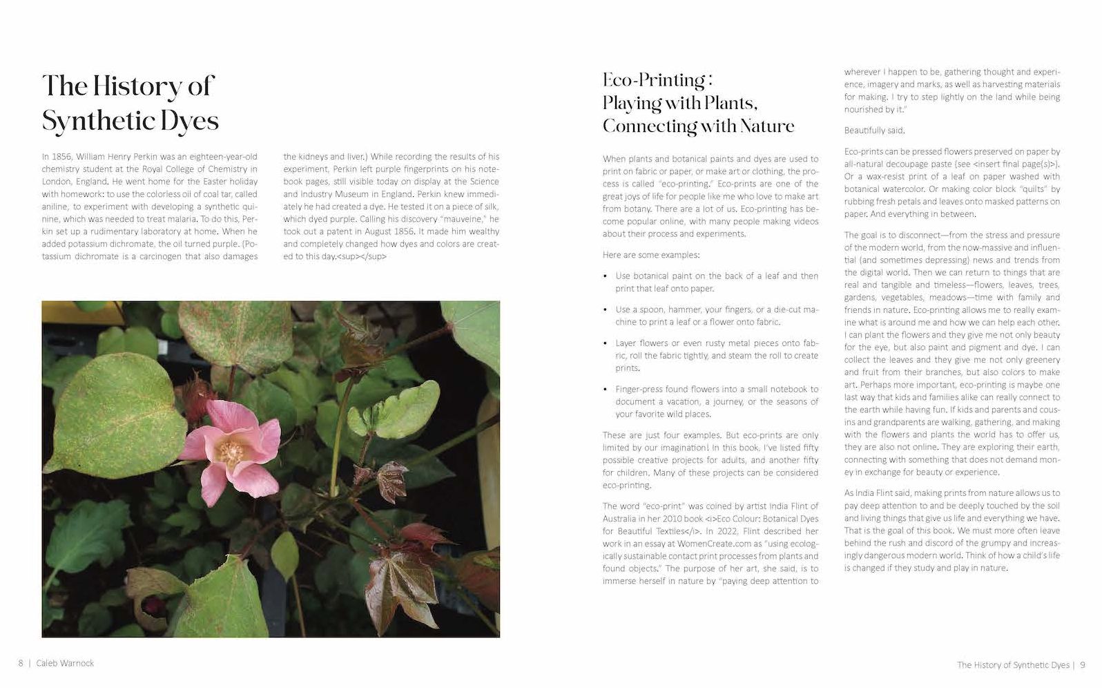 1000 Botanical Colors: Make Your Own Dyes, Paints, Inks, Stains, and Pottery Paints from 250 Plants