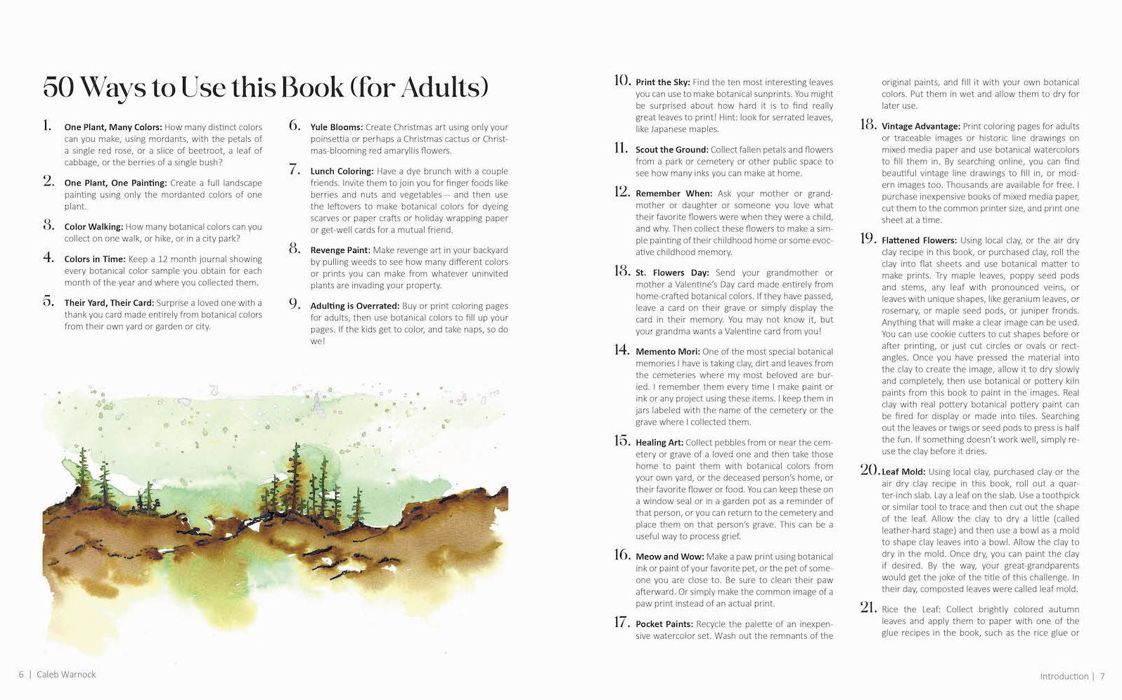 1000 Botanical Colors: Make Your Own Dyes, Paints, Inks, Stains, and Pottery Paints from 250 Plants