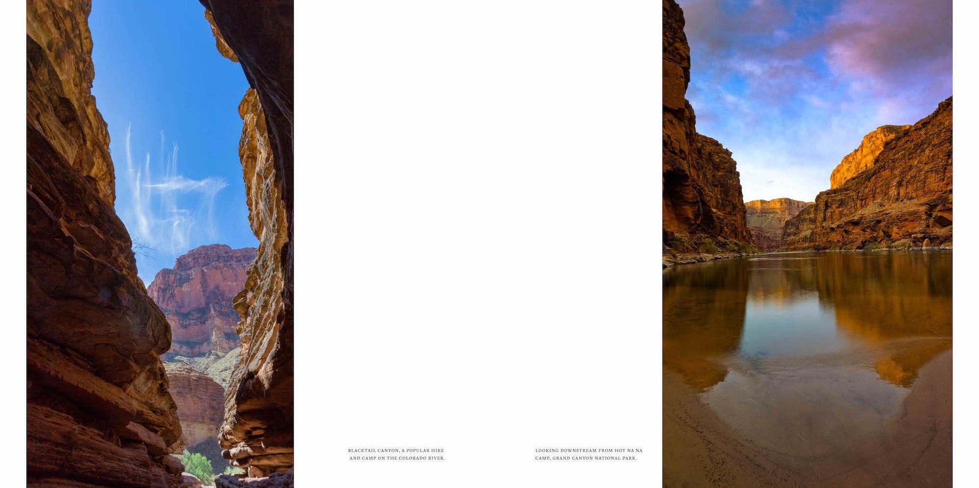 Arizona: Discover the Grand Canyon State