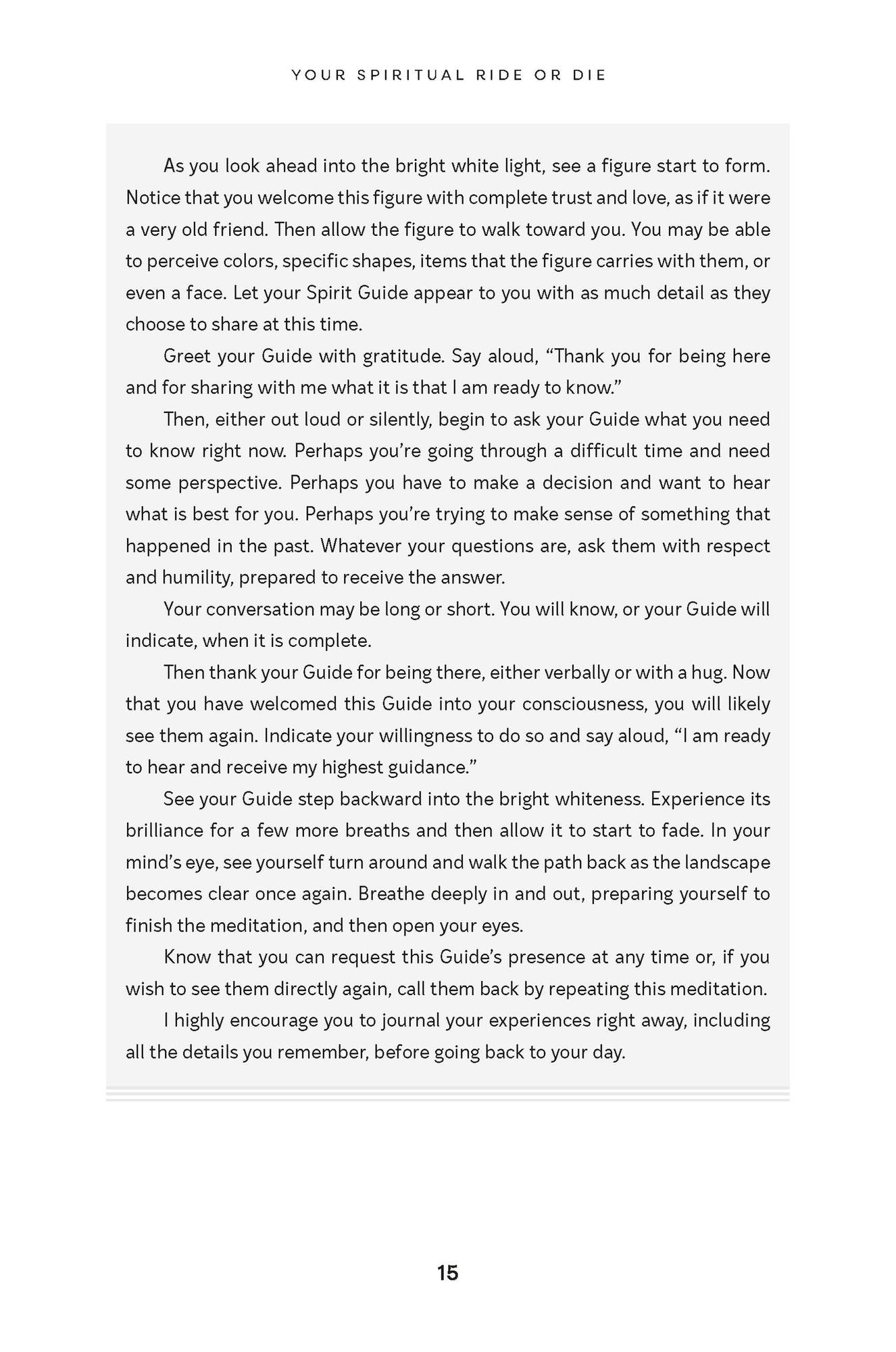 The Guide(s) Book: Mapping Out Life's Journey with Spirit by Your Side