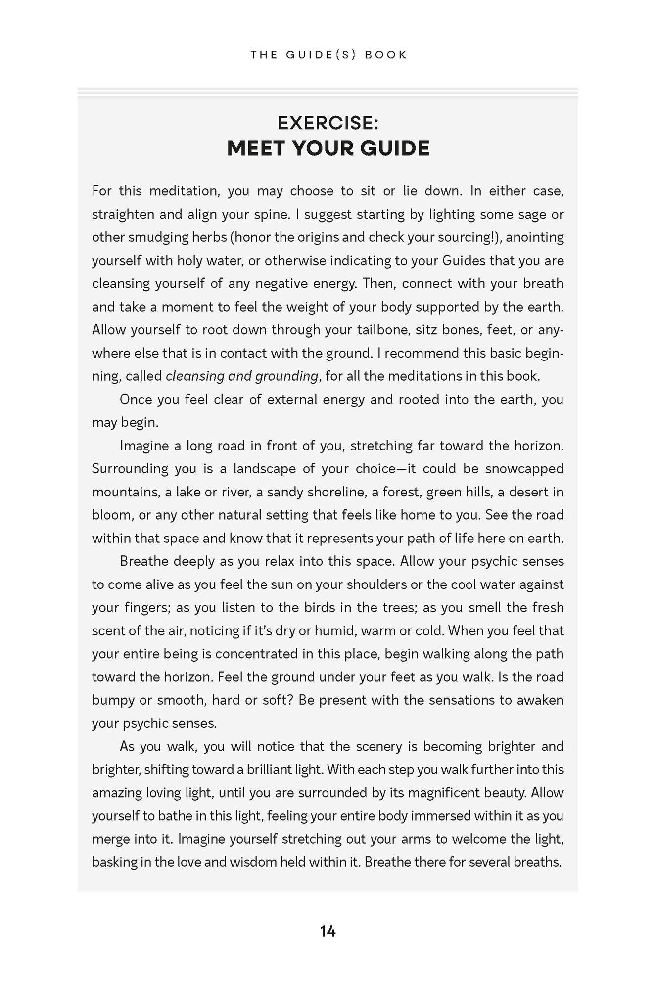 The Guide(s) Book: Mapping Out Life's Journey with Spirit by Your Side
