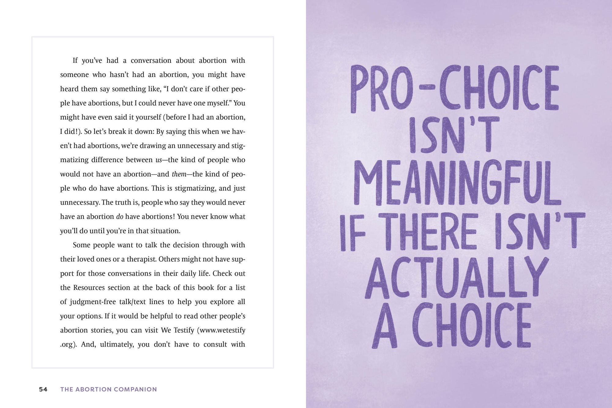 The Abortion Companion: An Affirming Handbook for Your Choice and Your Journey