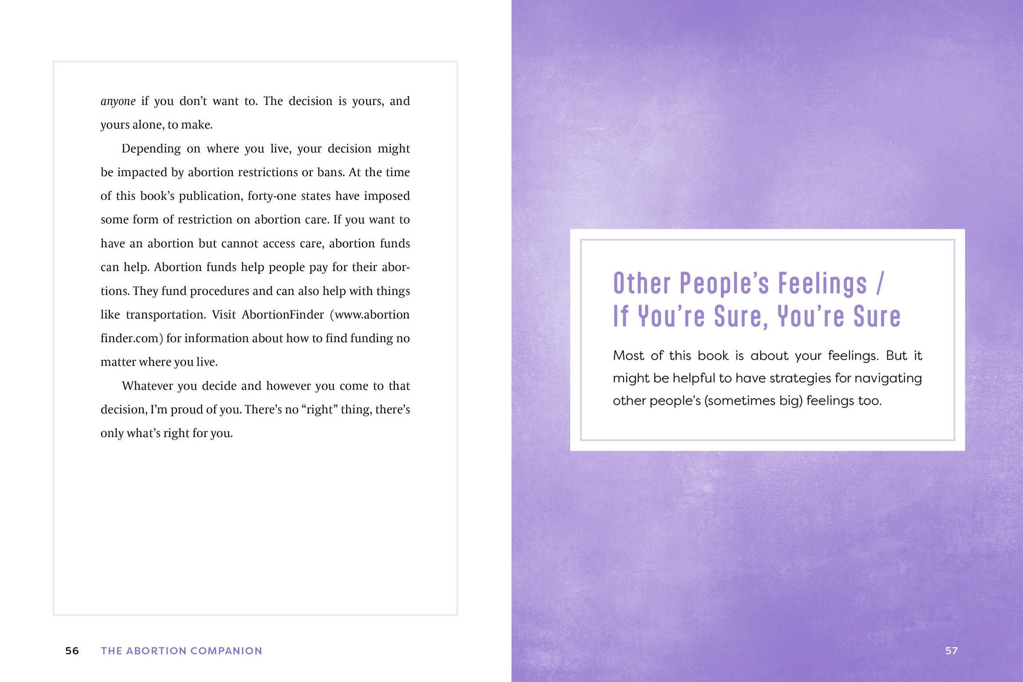 The Abortion Companion: An Affirming Handbook for Your Choice and Your Journey