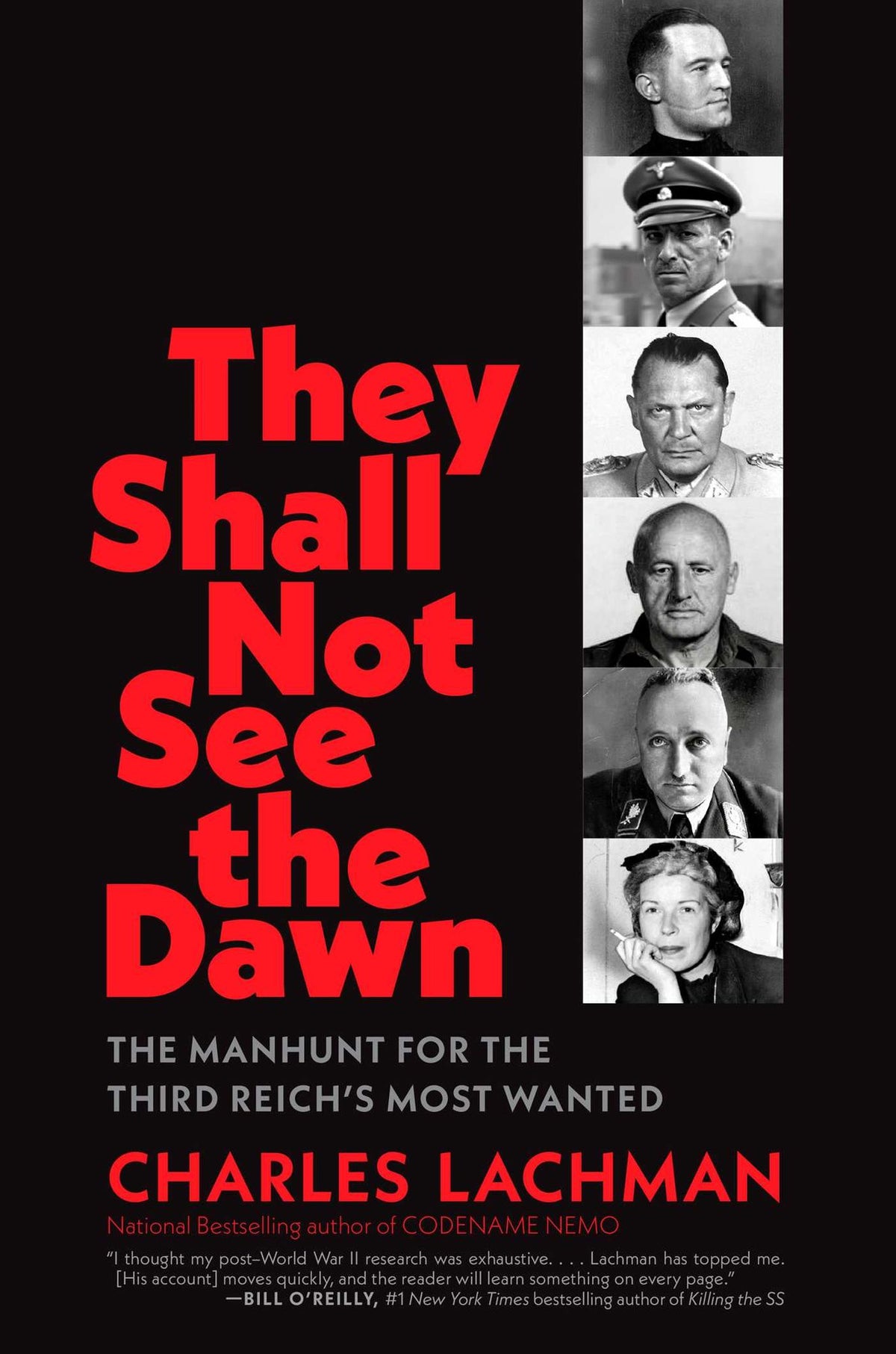 They Shall Not See the Dawn: The Manhunt for the Third Reich's Most Wanted