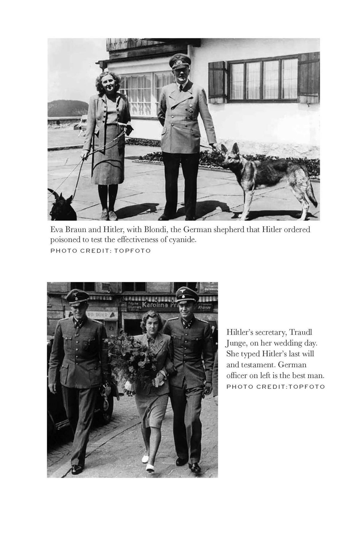 They Shall Not See the Dawn: The Manhunt for the Third Reich's Most Wanted