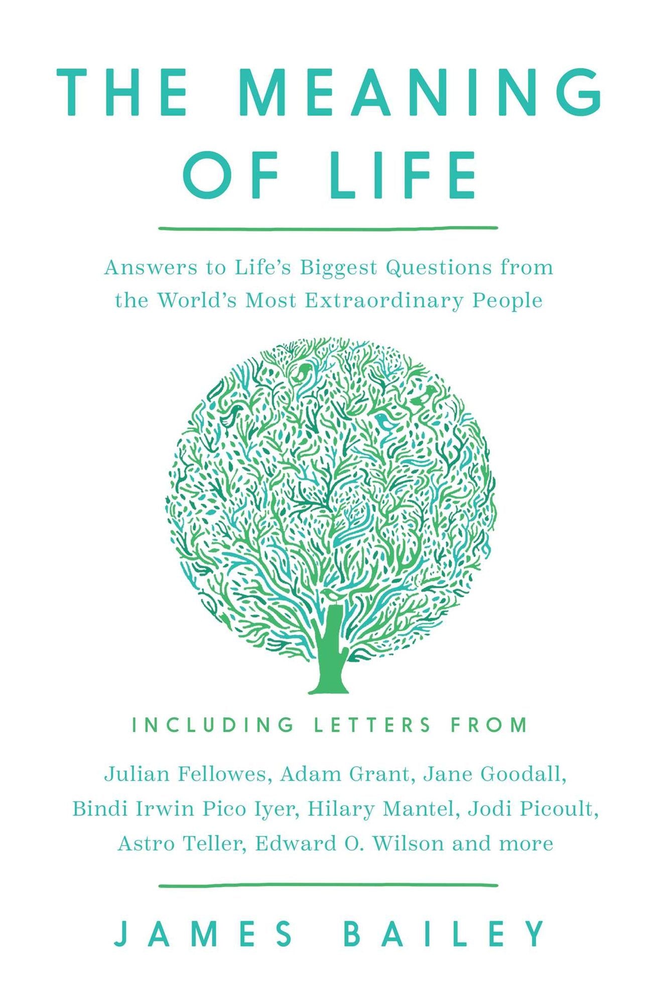 The Meaning of Life: Answers to Life's Biggest Questions from the World's Most Extraordinary People