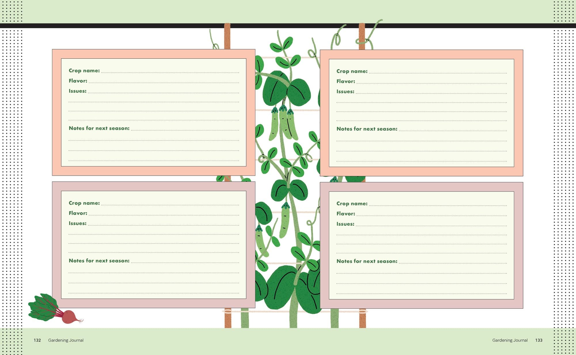 Container Gardening for Beginners: How to Grow a Lot from a Little