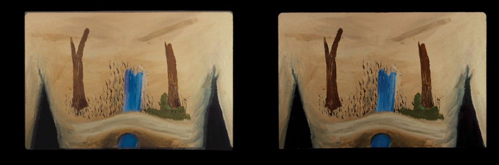 Robert Gober: Slides of a Changing Painting
