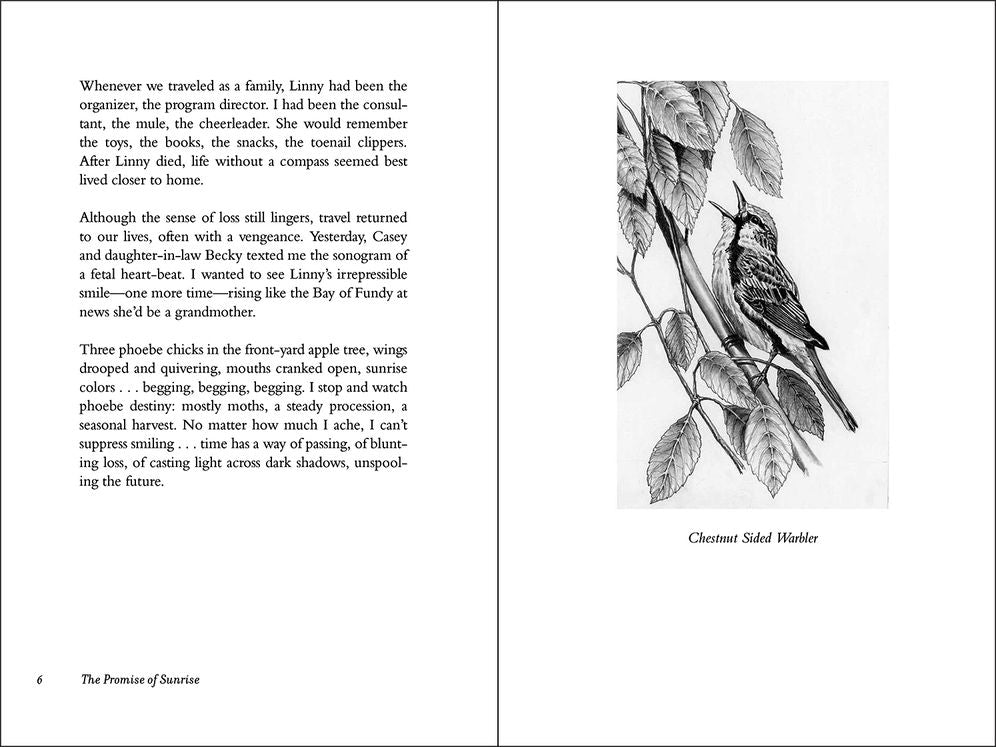The Promise of Sunrise: Finding Solace in a Broken World