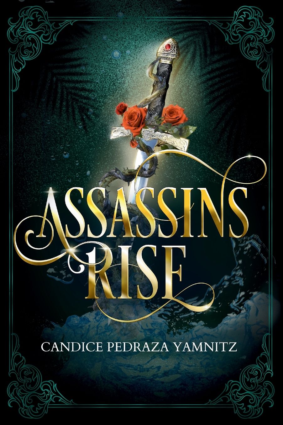 Assassins Rise